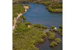 Boondall Wetlands, Photo by DETSI