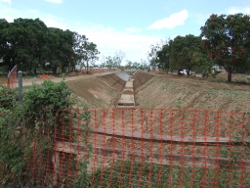 Earthworks Photo by Niall Connolly