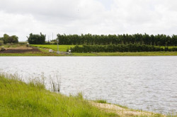 Vegetation buffers and wind breaks help stop erosion., Photo by DETSI