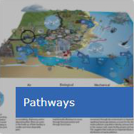 Pathways – how waste pollution moves in the environment