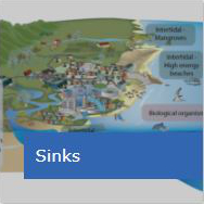 Sinks – where waste pollution ends up