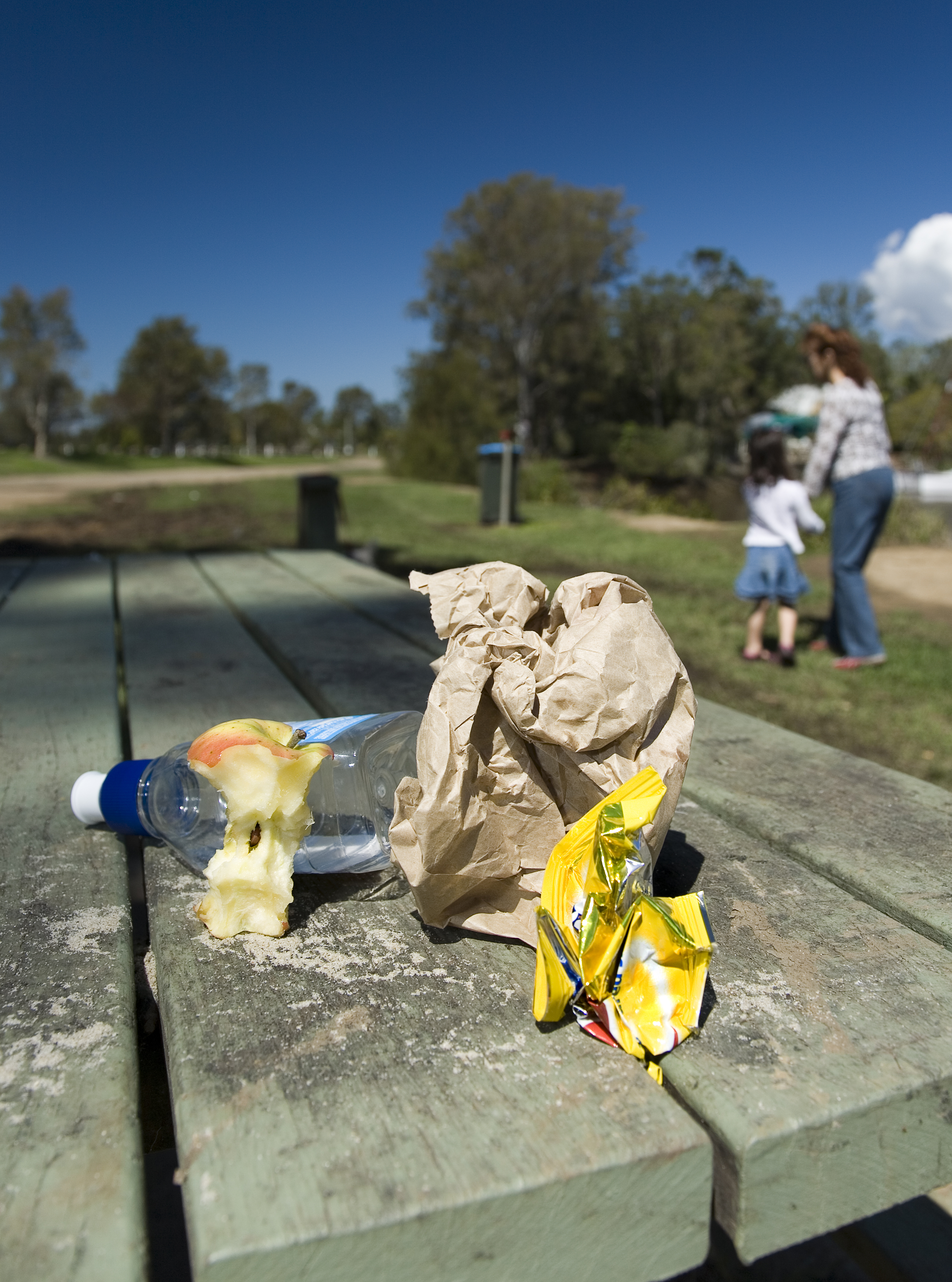 Litter, provided by QLD Government