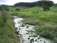 Drain Photo by Queensland Government