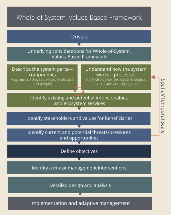 Whole-of-System, Values-Based Framework