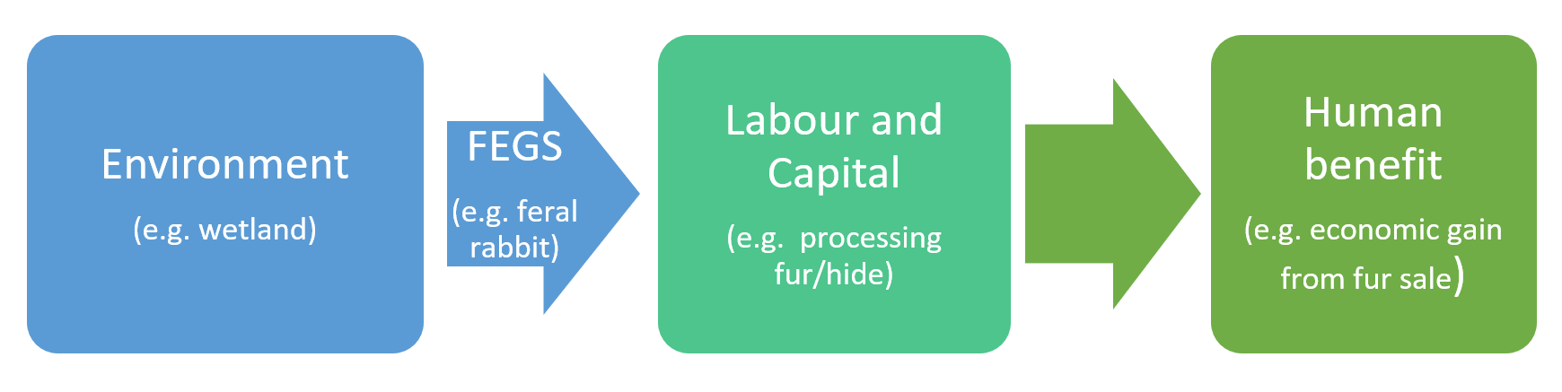 Figure 1. An example of the process from when a FEGS is produced by the environment to when a benefit is received by a beneficiary. Adapted from Landers and Nahlik (2013)