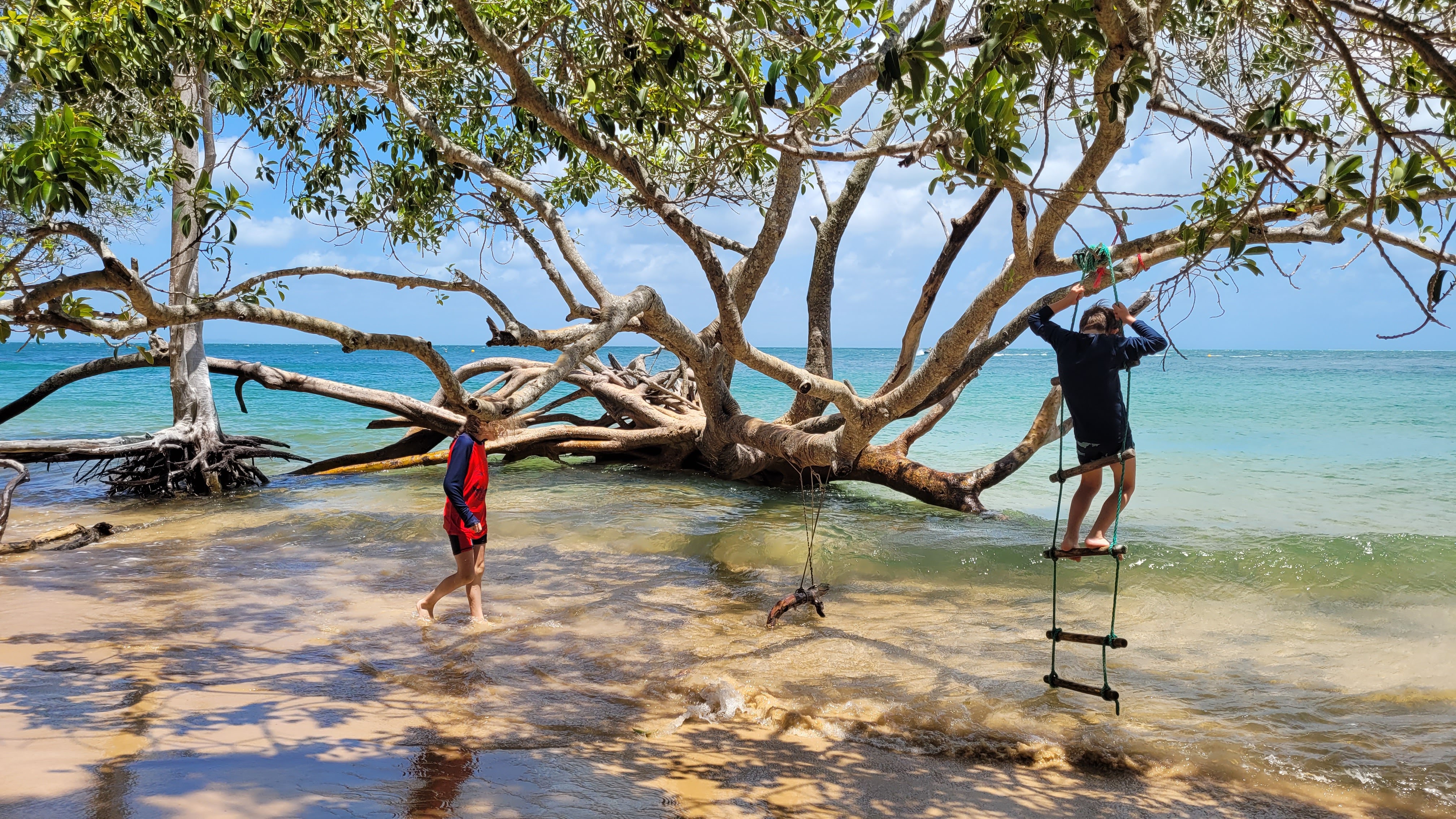 Wetlands offer many values and benefits. Photo by Emma Comerford, QLD Government.