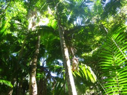 Fraser Island. Photo by Lana Heydon
