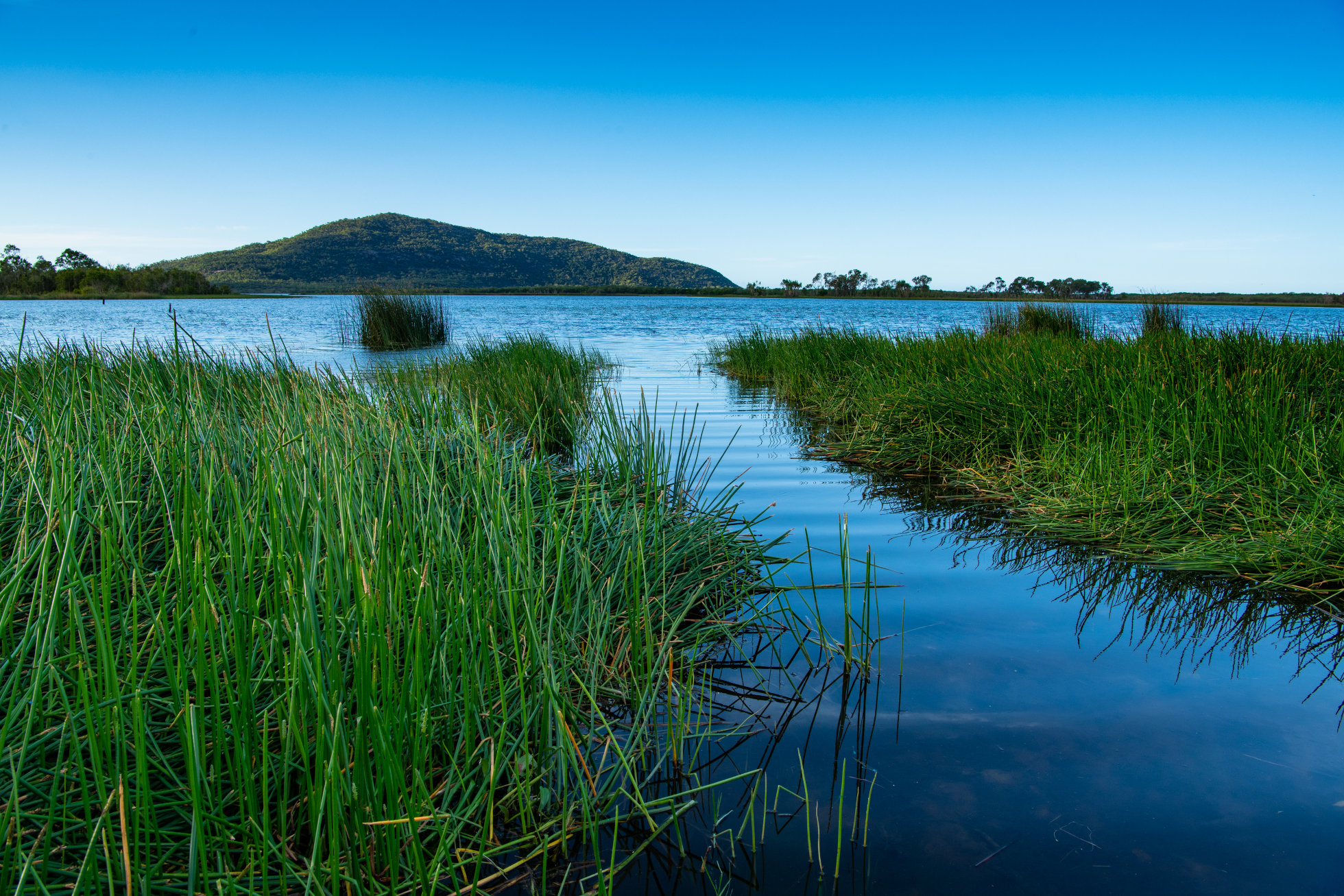Bowling Green Bay, Photo by Gary Cranitch copyright Queensland Museum