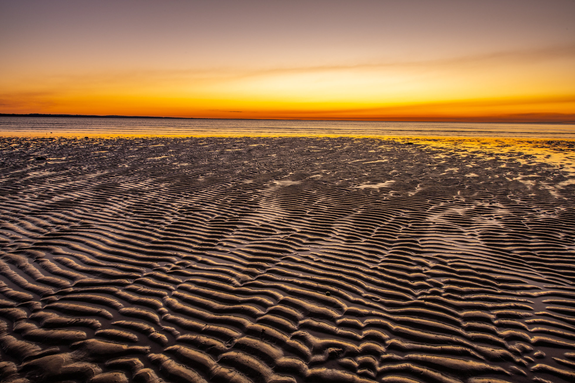 Great Sandy Strait, Photo by Gary Cranitch copyright Queensland Museum