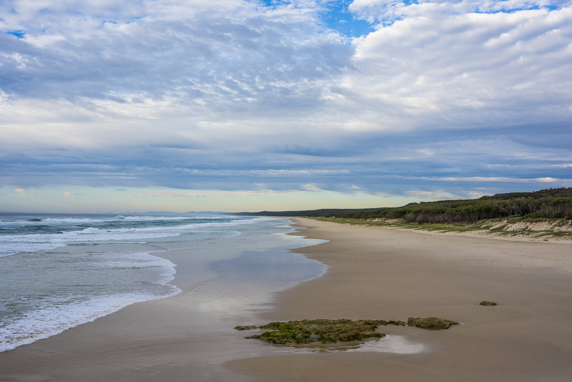 Moreton Bay, Photo by Gary Cranitch copyright Queensland Museum