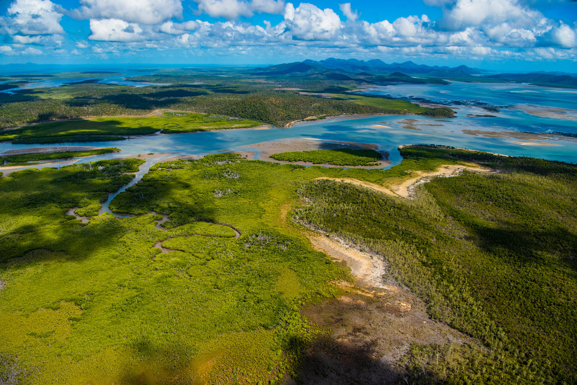 Shoalwater and Corio Bays, Photo by Gary Cranitch copyright Queensland Museum