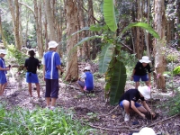Students revegetating local wetland area, Heritage Park