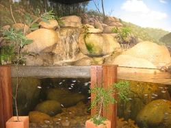 Queensland Wetlands Program display