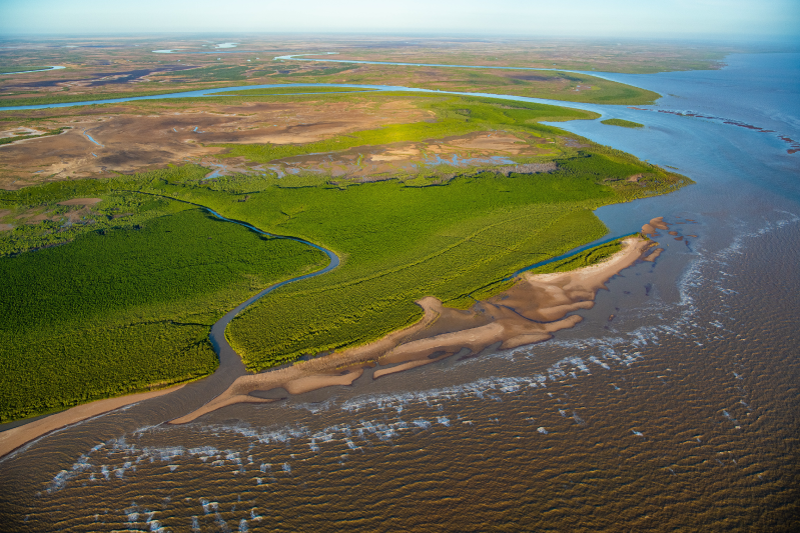 Gulf of Carpentaria coastline Photo by Gary Cranitch © Queensland Museum