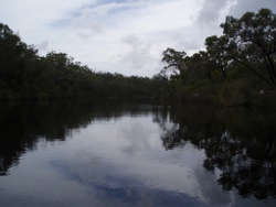 Noosa River Photo by Shane Chemello