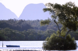 Donnybrook Photo by Queensland Government
