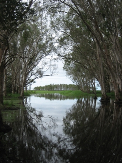 Bowling Green Bay, Photo by Lana Heydon