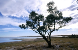 Lake Numulla, Photo by DETSI